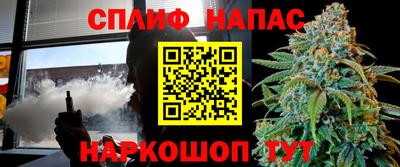 СК Канаш