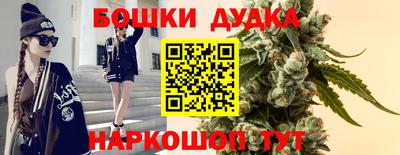 СК Канаш