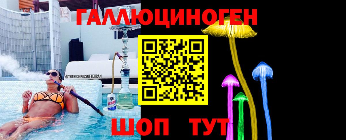 Галлюциногенные грибы мицелий  Вход с VPN  Шебекино  купить закладку  Псилоцибиновые грибы прущие грибы 